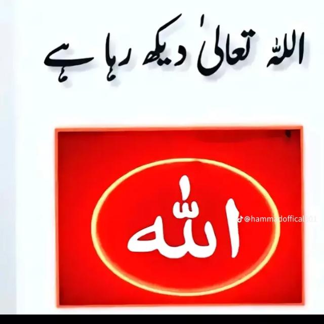 💞💓محبّت روگ ہے جانا 💓💞
