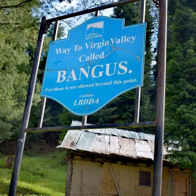 ?  ?????    ??????   ?