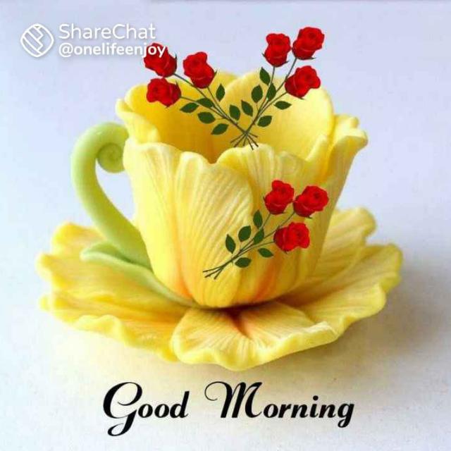 Succes