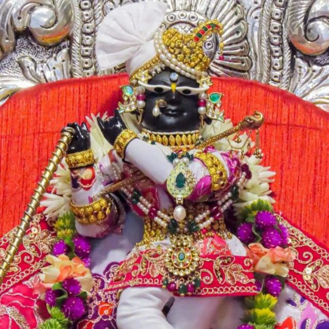 Starmaker Followers increasing