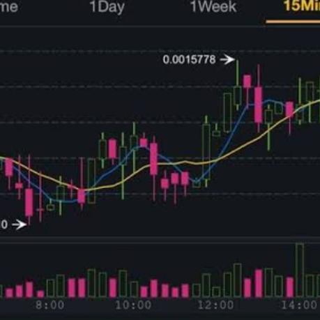 Daily 100$  with Signals