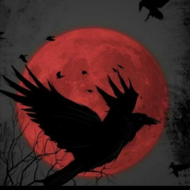 ? ?? ??? ????? ❶ ???⚡