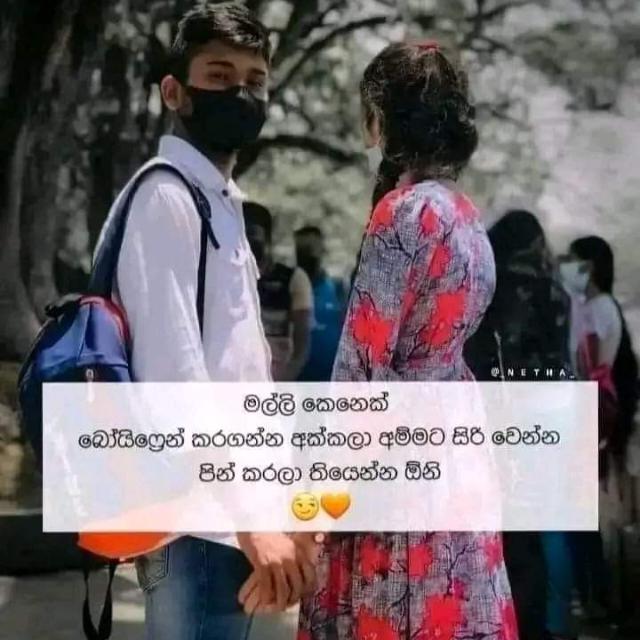 කොල්ලො කෙල්ලො