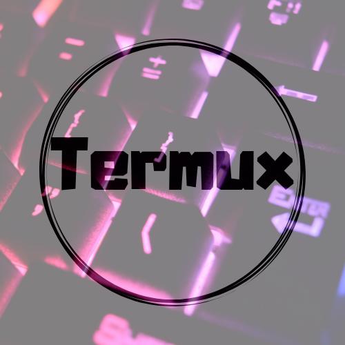 SYSTEM OF TERMUX