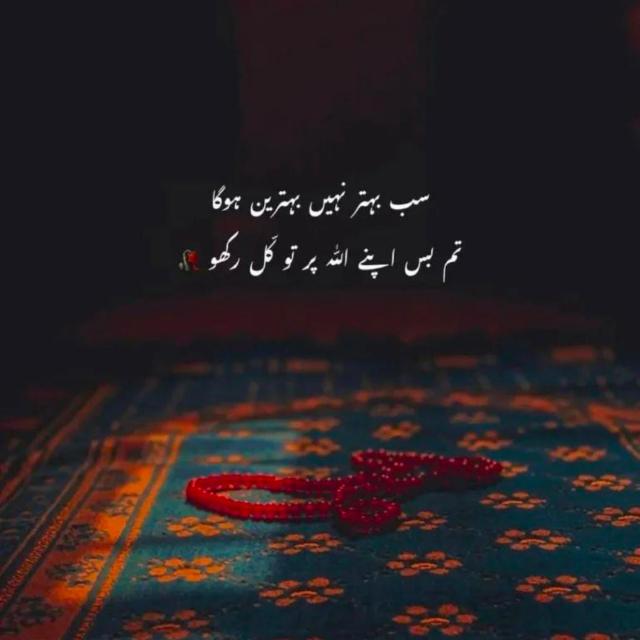 قرآن پاک ( ترجمہ کلاس )