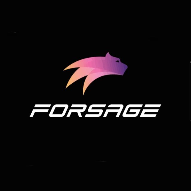 FORSAGE JOIN TEAM