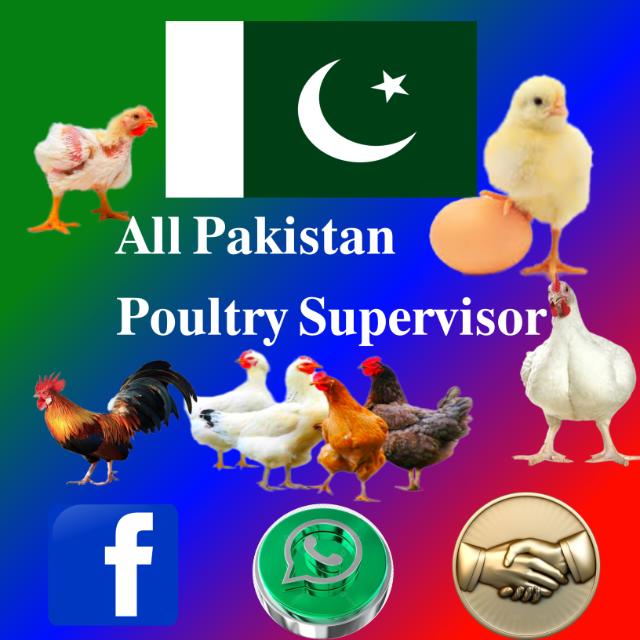 ??? ?????????? ??????? ??????????