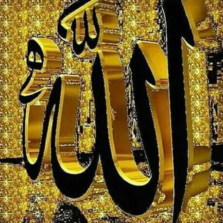 Islam Is Light Of Life☝☝