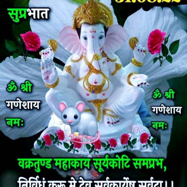 मिस्त्री ग्रुप सुलीखेड़ा ???