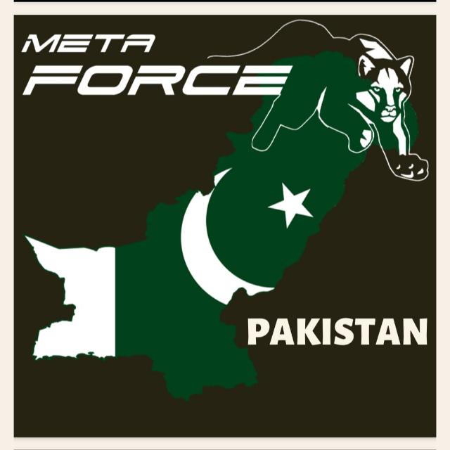 Meta force online work 2