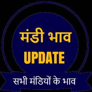 Live Mandi Bhav 5