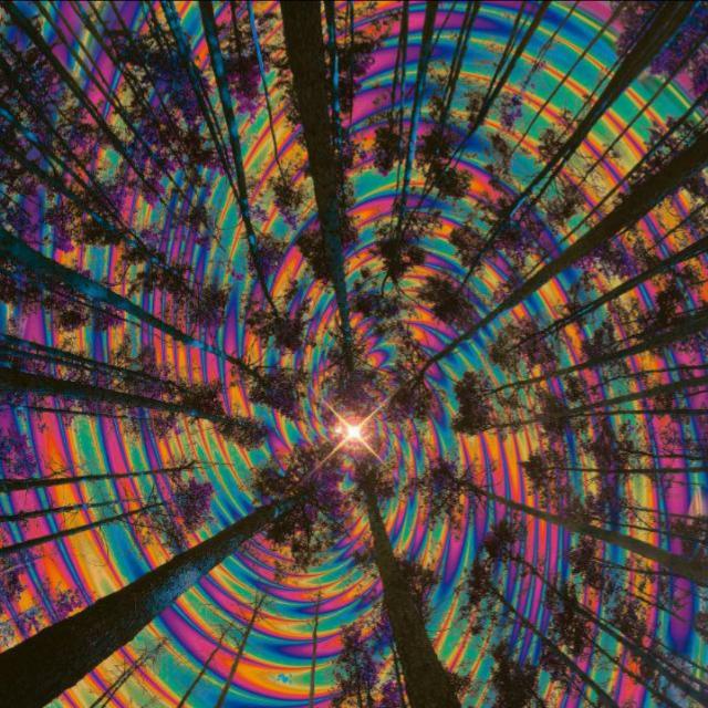 〽️കഞ്ചാവ് ?cLuB?