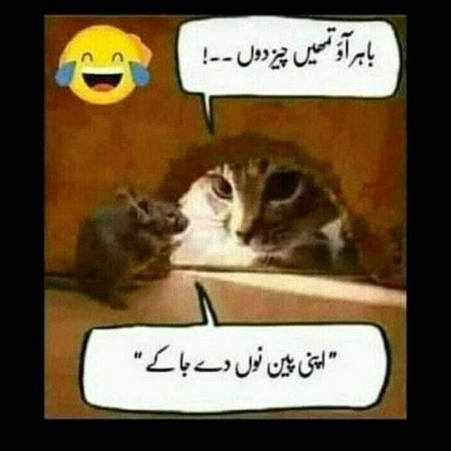 Anasri bhai