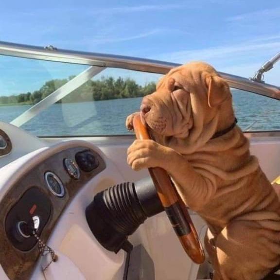 ?????? ???? ♤♡◇♧