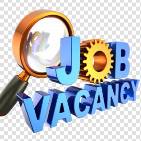 all fresher job group