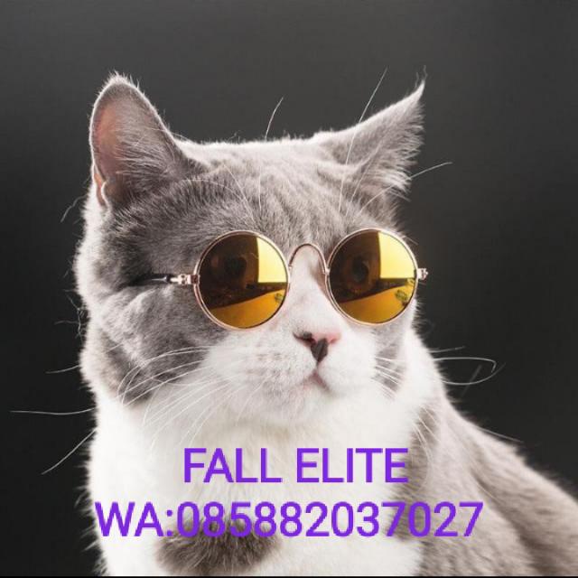 GRUP JB FALL X ZI4YOU