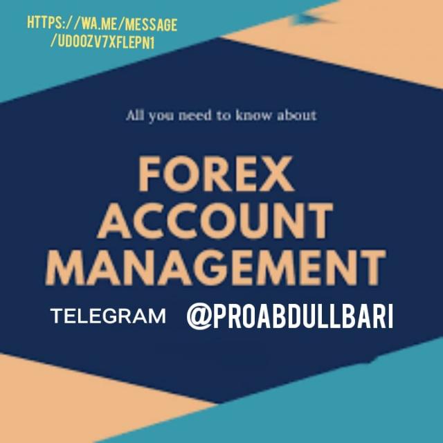 SINGLES OF GOLD FOREX