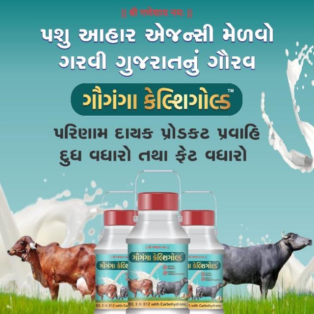 ગુજરાતી અપડેટ 11