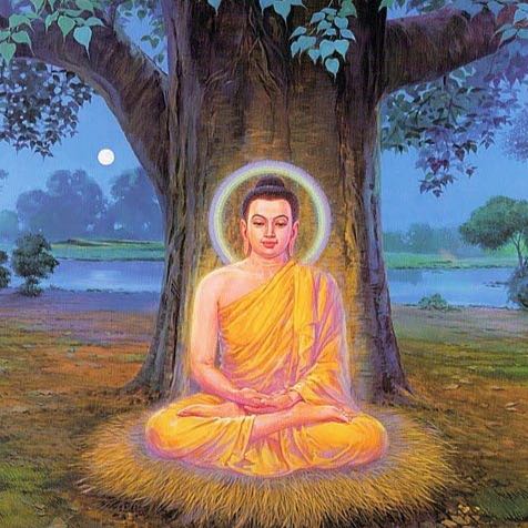 ☸️සමිදු දෙසූ මග☸️