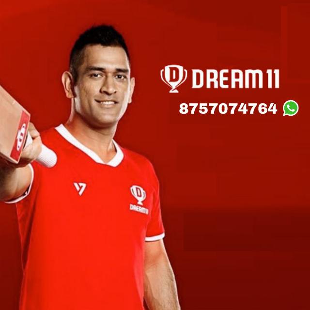 DREAM 11 EARNING ✅
