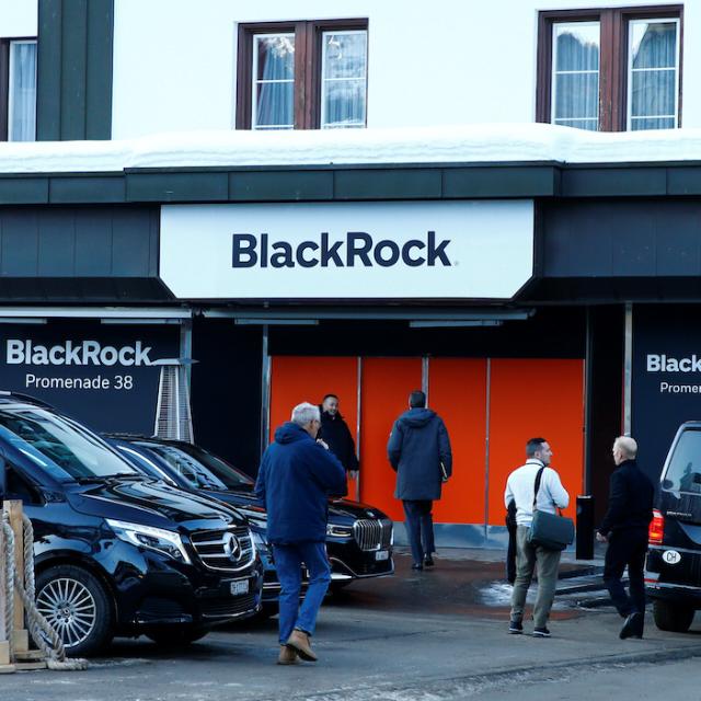 BLACK ROCK INVESTMENT GROUP