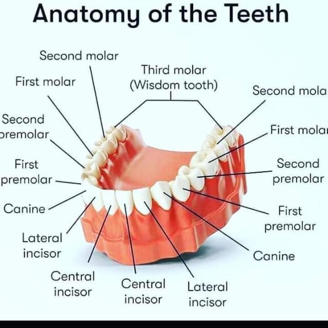 ? ? ? ? ?? ? ? ? ???????