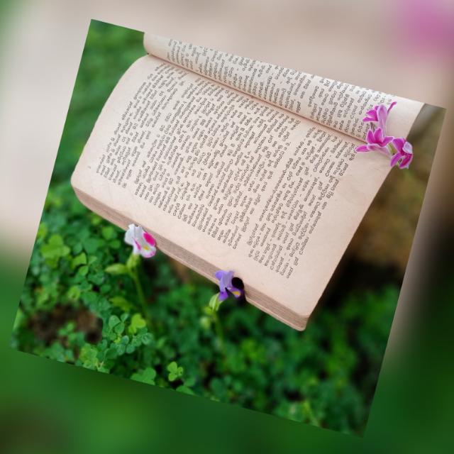 ??නිසදැස් පාරාදීසය..."