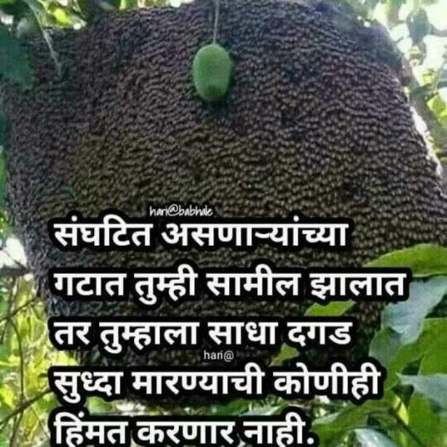 ?कर्ज पिडीत मदत केंद्र?