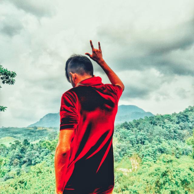 Power Graphics Buy Hansika ??