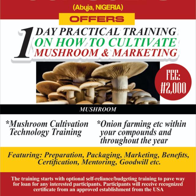 Mushroom Cultivation NGR