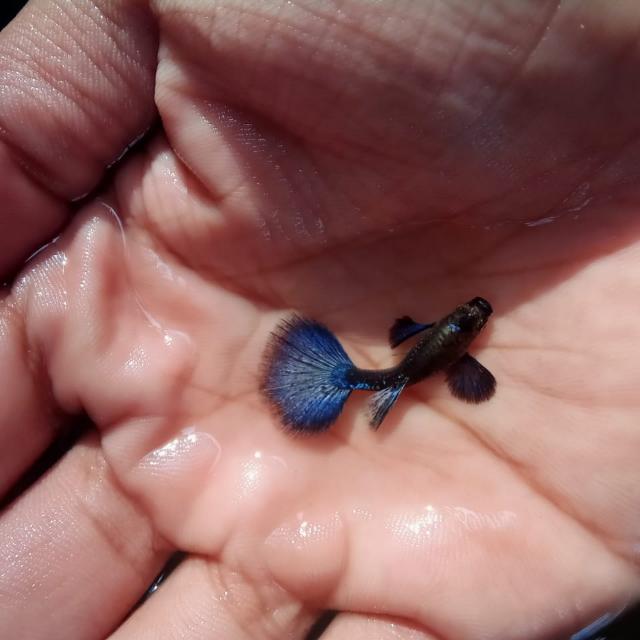 ?? Fish tank full prodect sell  ??