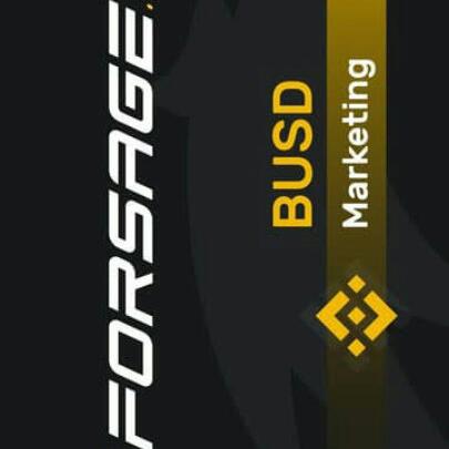 FORSAGE BUSD EARNING GROUP 