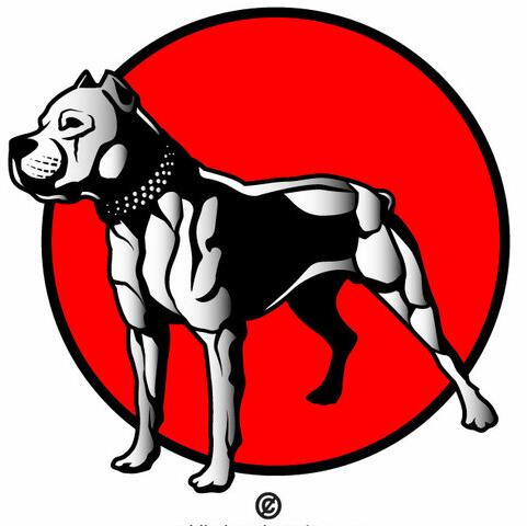 Pitbull Dog Lover