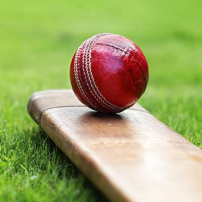 🏏🏏🏏🏏🏏