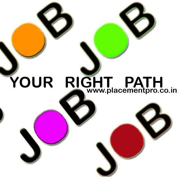 Placementpro.co.in