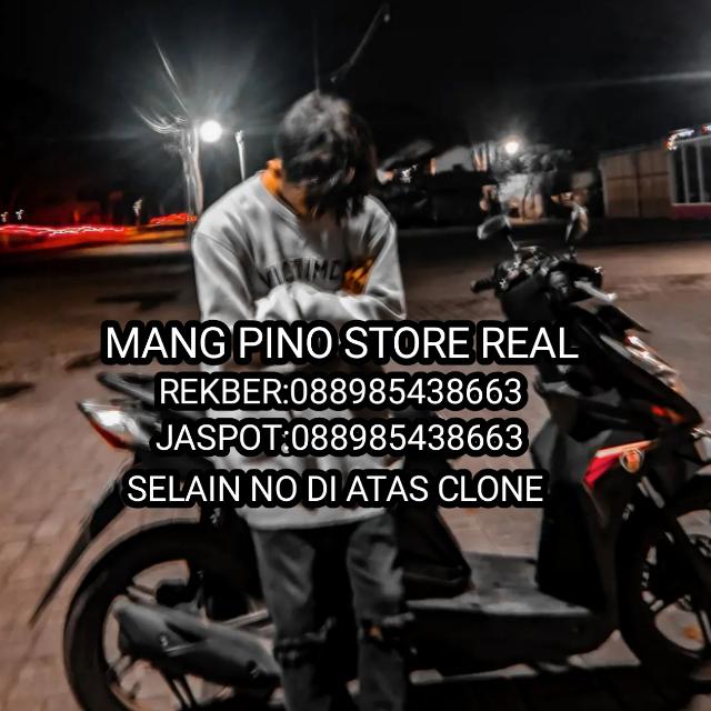 Pino Store X Own