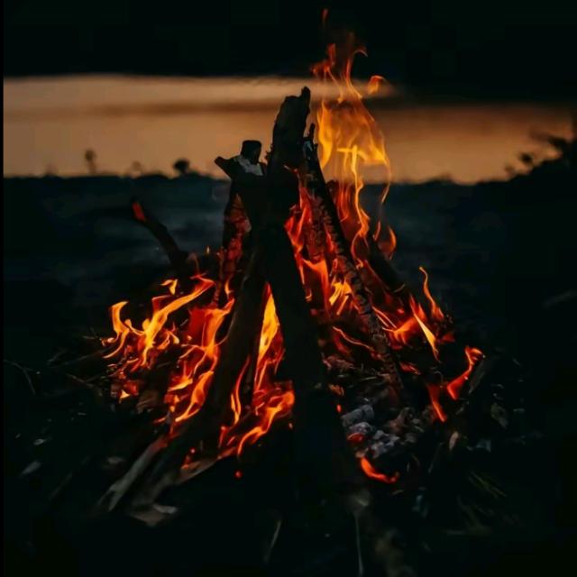 S t a t u s   v i d i o s_