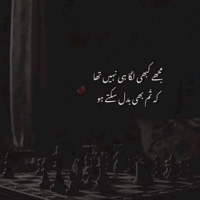 Mast life frnds??❤️❤️No warnings