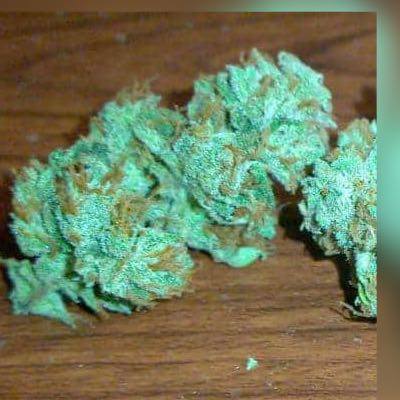 Make money in 48 hours