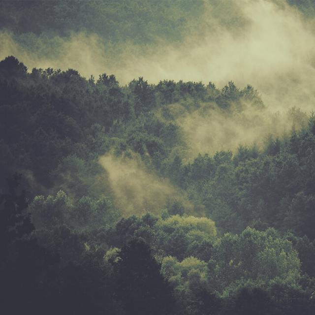 ledy boy / garls සද කලික ඇසුරක් සදහ අරදන