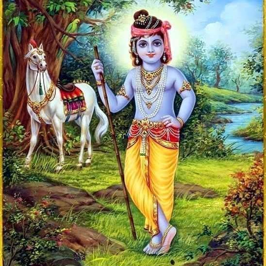 राव/भाट समाज एकता मंच राजस्थान