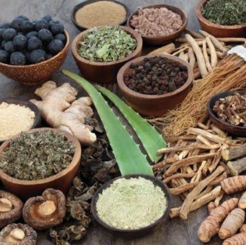 🚩सर्वगुणसंपन्न आयुर्वेद✨6