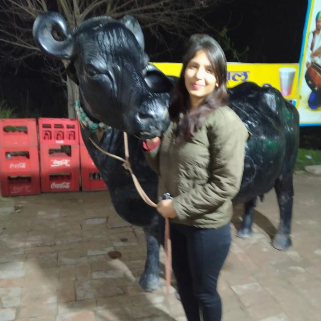 ?? BitTorrent??coming