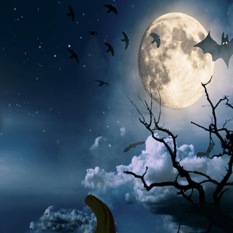 ?2022 Gread 10/11 Team?