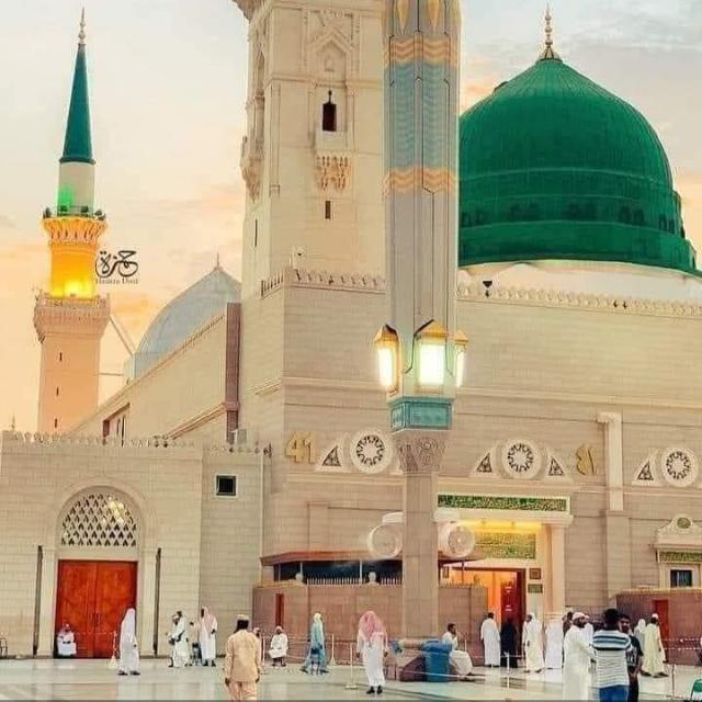 Prefect signal Group