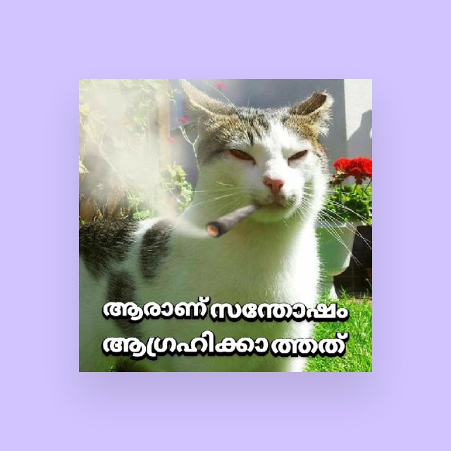 ? ? ? ? ? ? ? ? ? ?   ? ? ? ? ?✨️?