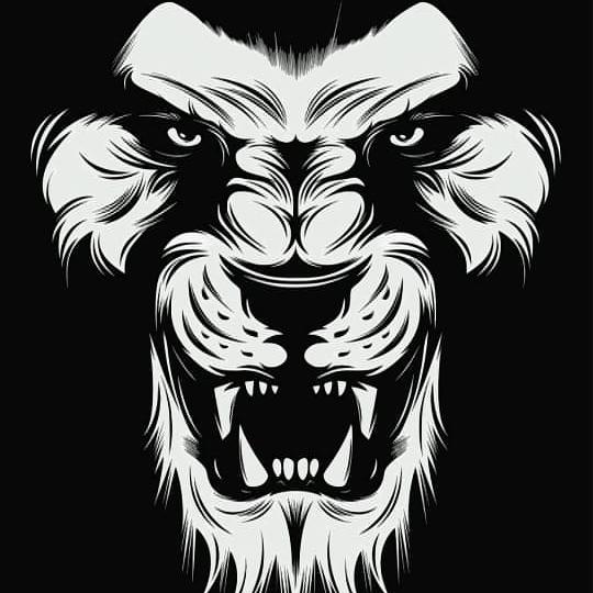 ??ᴹᴵᴸᵞ_ᴮᴱˢᵀ_ᵂᴬᴿᴺᴬ..ᴺᴱˣᵀ??