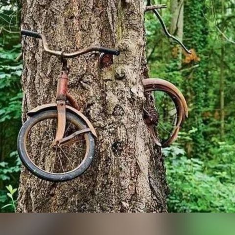 සංදේශය