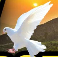 Like and watch time (sub for sub)?