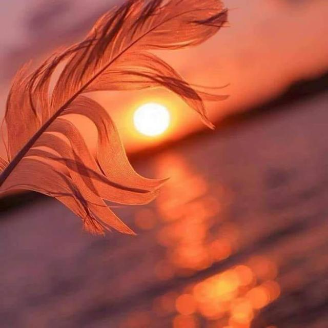 Gossip full of memories